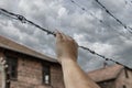 A woman`s hand grasping barbed wire