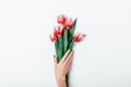 Woman's hand with green manicure holding bouquet of fresh red tulip flowers Royalty Free Stock Photo