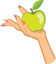 Woman's hand holding apple . illustration Royalty Free Stock Photo