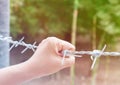 Woman's hand holding barbed wire fence for emotional captivity a Royalty Free Stock Photo