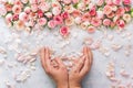 Woman`s hand holding beautiful bunch of rose petals Royalty Free Stock Photo