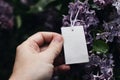 Woman& X27;s Hand Holding Blank Gift Tag, Label. Purple Lilacs Blossoms In The Garden. Moody Spring Mockup. Birthday