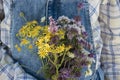 Woman`s hand holding a bouquet of wildflowers bunch Royalty Free Stock Photo