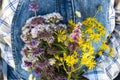 Woman`s hand holding a bouquet of wildflowers bunch Royalty Free Stock Photo