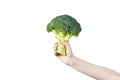 Woman's hand holding brocoli