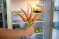 Woman`s Hand Holding Bunch Of Carrots in front of the refrigerator Royalty Free Stock Photo