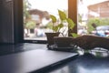 A woman`s hand holding a cup of coffee with computer laptop and small tree pot on wooden table Royalty Free Stock Photo