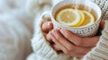 Woman's hand holding cup of tea with lemon on a cold day Royalty Free Stock Photo