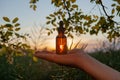 Woman's hand holding a dropper bottle with cosmetic avocado oil