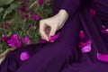 Woman`s hand holding elegant rose petal Royalty Free Stock Photo