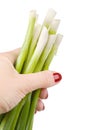 Woman's hand holding fresh green onion, isolated Royalty Free Stock Photo