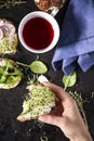 Woman`s hand is holding a half eaten sandwich. Royalty Free Stock Photo