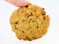 A woman\'s hand holding homemade multigrain cookie with oatmeal, several kinds of seeds and nuts Royalty Free Stock Photo