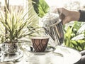 Woman`s Hand Holding Hot Teapot In Morning Sunlight, Retro Colors, A Window Through Which The Sun Shines