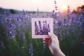 Woman\'s hand holding a instant photo of lavender