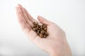 Woman`s hand holding medium roasted coffee beans on isolated white background