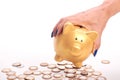 Woman`s hand holding piggy bank and coins of the Brazilian money Royalty Free Stock Photo