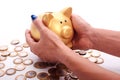 Woman's hand holding piggy bank and coins of the Brazilian money Royalty Free Stock Photo