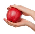 Woman`s hand holding red apple.  on a white background. Royalty Free Stock Photo