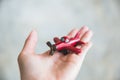 Hand holding red toy plane Royalty Free Stock Photo