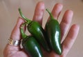 Woman's hand holding 3 ripe jalapeÃÂ±os