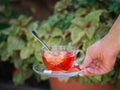 A girl`s hand with a cup of fruity tea on a natural background. Strawberry balsamico herbal tea. Copy space. Royalty Free Stock Photo