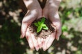 Woman`s hand holding sprout plant, seedling plant in ground. Top view. Saving earth and planting tree Royalty Free Stock Photo