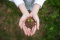 Woman`s hand holding sprout plant, seedling plant in ground. Top view. Saving earth and planting tree