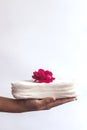 Woman`s hand holding a stack of sanitary napkins with red rose on. Against white background. Period days concept showing feminine Royalty Free Stock Photo