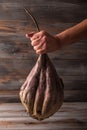 Woman`s hand holds big ugly organic ripe beetroot on a wooden background