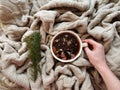 a woman's hand holds a cup of tea, a fir twig lies next to it. warm tinting Royalty Free Stock Photo