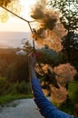 A woman`s hand holds a flowering tree branch at sunset