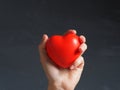 A woman`s hand holds a red heart on a gray background with her fingers. Concert of health