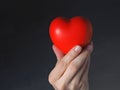 A woman`s hand holds a red heart on a gray background with her fingers. Concert of health, love