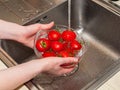 A woman`s hand holds tomatoes under running tap water, the importance of handling and thoroughly washing vegetables and fruits du Royalty Free Stock Photo