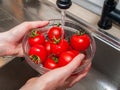 a woman`s hand holds tomatoes under running tap water, the importance of handling and thoroughly washing vegetables and fruits du Royalty Free Stock Photo