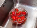 A woman`s hand holds tomatoes under running tap water, the importance of handling and thoroughly washing vegetables and fruits du Royalty Free Stock Photo