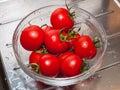 a woman`s hand holds tomatoes under running tap water, the importance of handling and thoroughly washing vegetables and fruits du Royalty Free Stock Photo