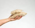 Woman`s hand holds a transparent bag with oatmeal