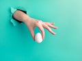 A woman`s hand holds a white egg through a hole on a green background