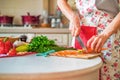 Female hand with knife cuts carrot in kitchen. Cooking vegetables Royalty Free Stock Photo