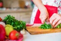 Female hand with knife cuts parsley in kitchen. Cooking vegetables Royalty Free Stock Photo