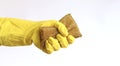 A woman's hand in a latex glove holds a sponge-scraper for washing Teflon surfaces Royalty Free Stock Photo