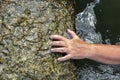 Woman`s hand out of the water trying to grab the coastal stone and escape from the sea Royalty Free Stock Photo