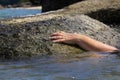 Woman`s hand out of the water trying to grab the coastal stone and escape from the sea. Royalty Free Stock Photo