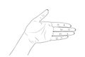 Woman`s hand, palm. Vector stock illustration eps10. Outline.