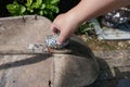 Woman's hand placing kindness rock onto old garden tool Royalty Free Stock Photo