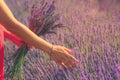 Hand with purple manicure softly touching lavender flowers Royalty Free Stock Photo