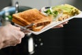 Woman`s hand puts freshly baked toast on a plate Royalty Free Stock Photo