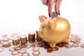 Woman's hand putting coins Brazilian money into piggy bank Royalty Free Stock Photo